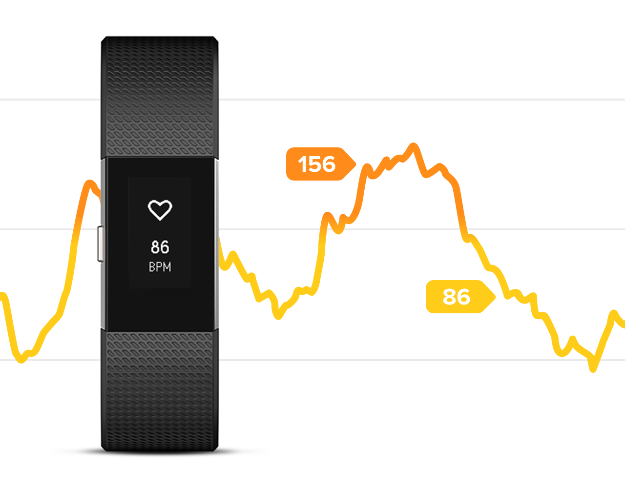 fitbit heart