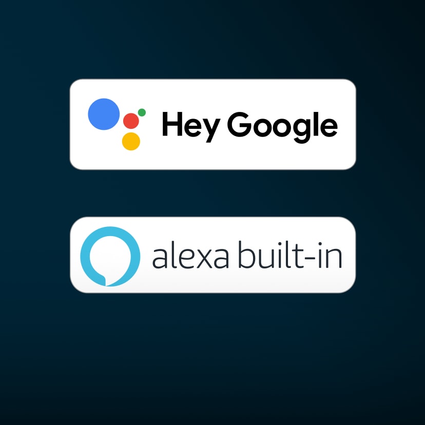 Hey Google 및 Alexa Built-in 로고