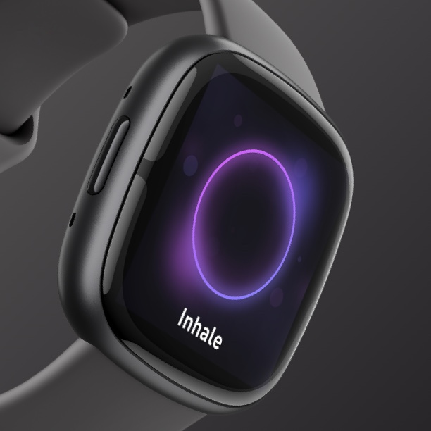 Fitbit Technology | PurePulse