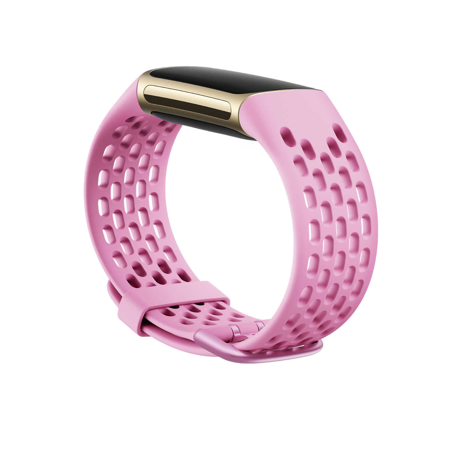 Bracelet sport Charge 6 et Charge 5 (lilas givré) - Grand