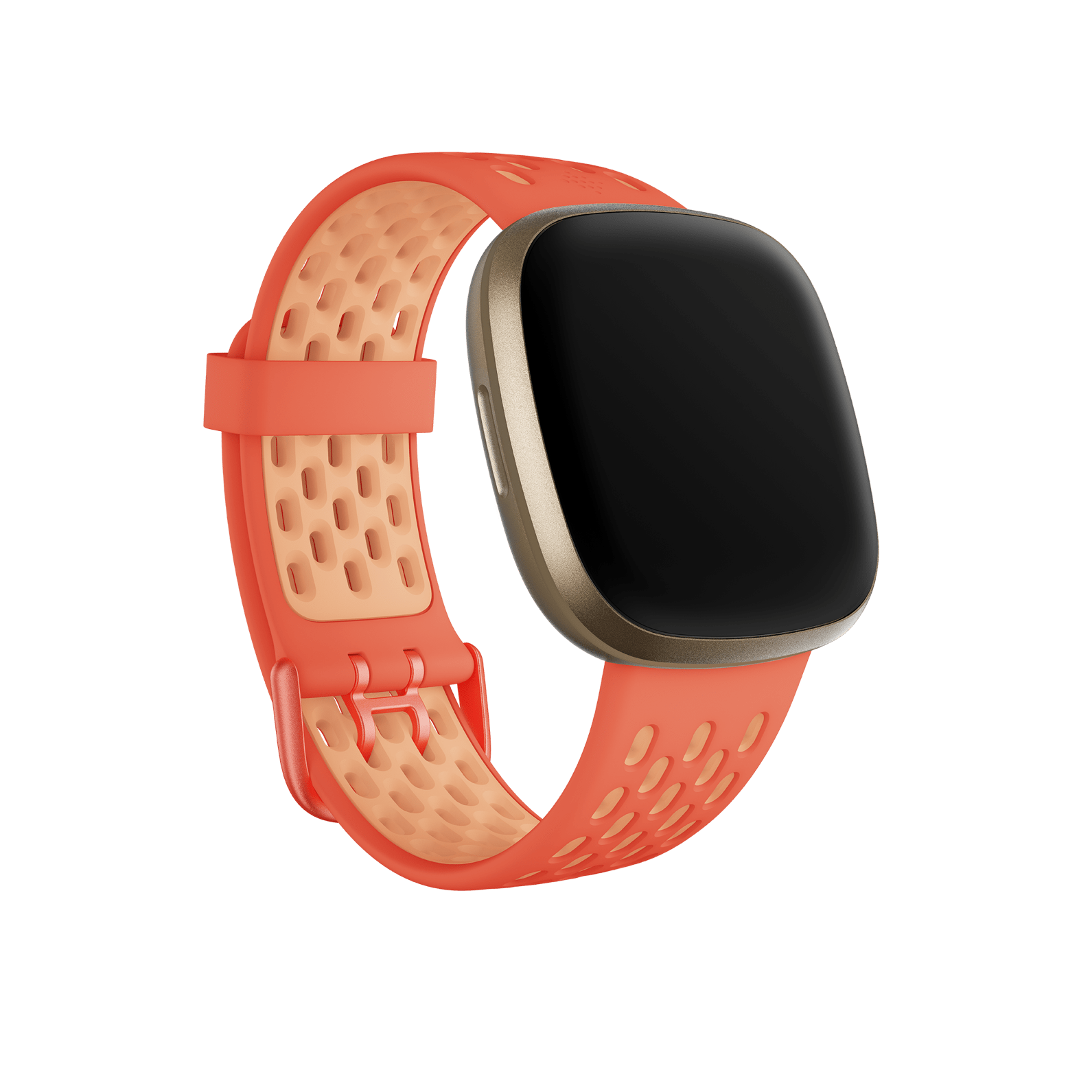 bands for fitbit versa