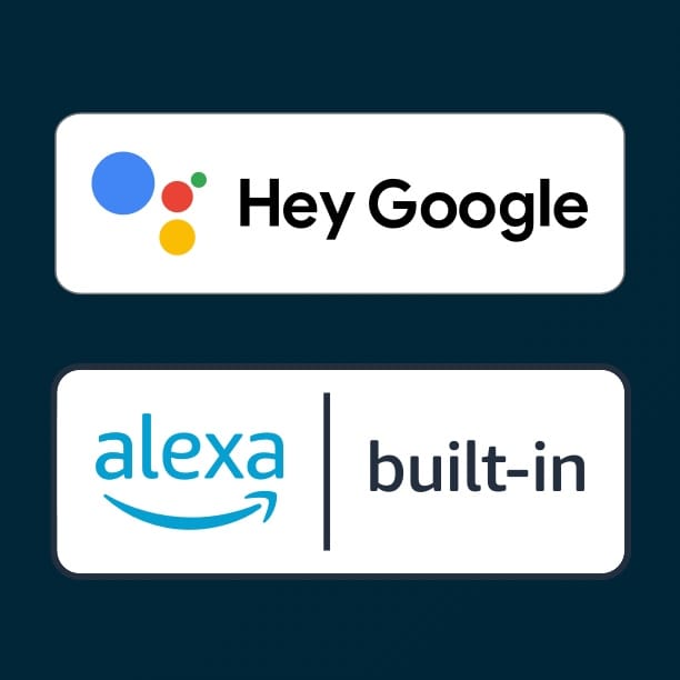 logos for Hey Google and Alexa