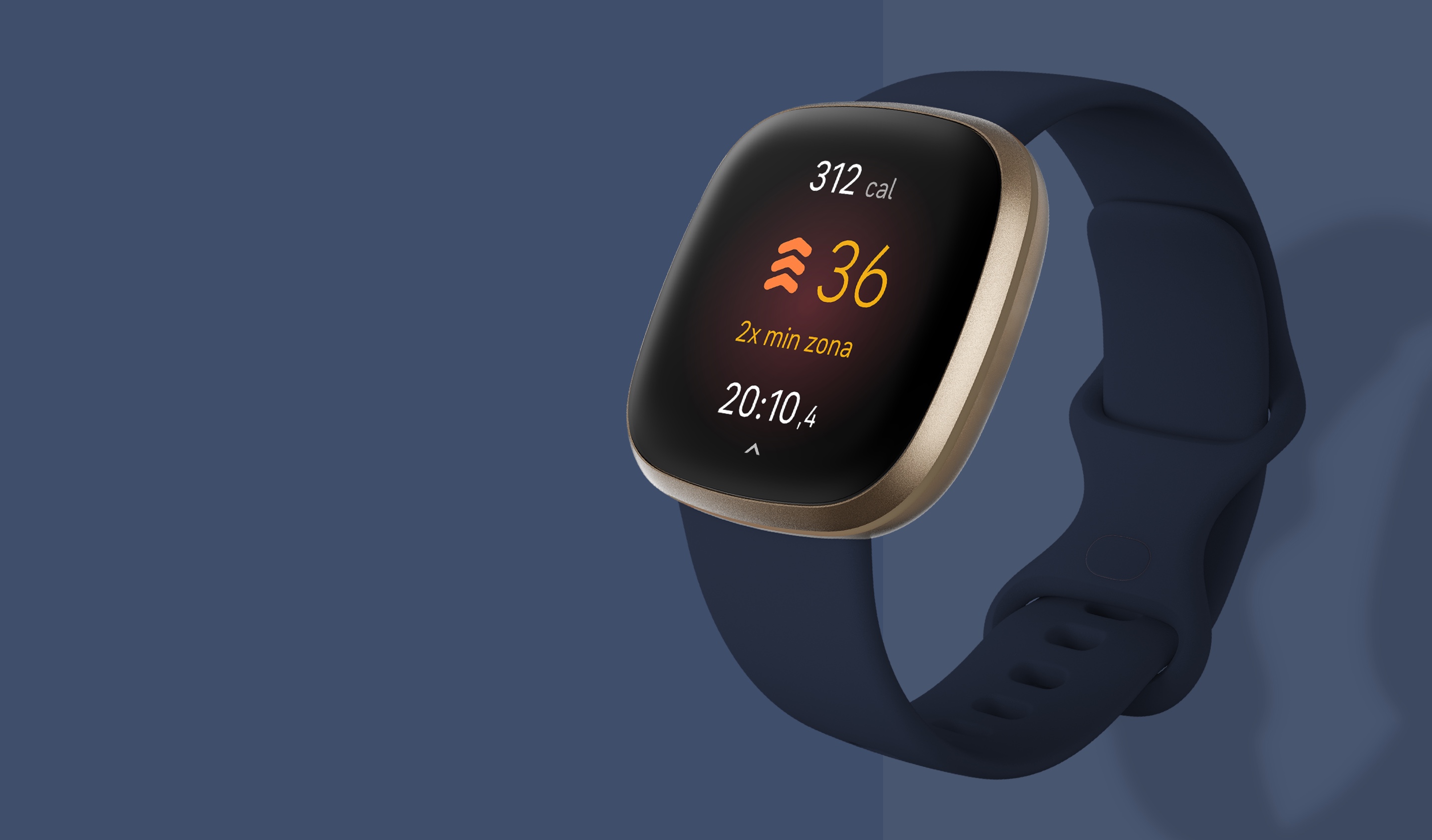 Smartwatch Versa 3 di Fitbit